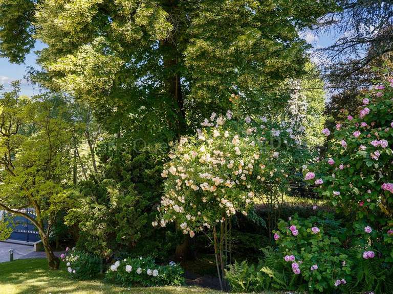 Maison Rueil-Malmaison - 6 chambres - 486m²