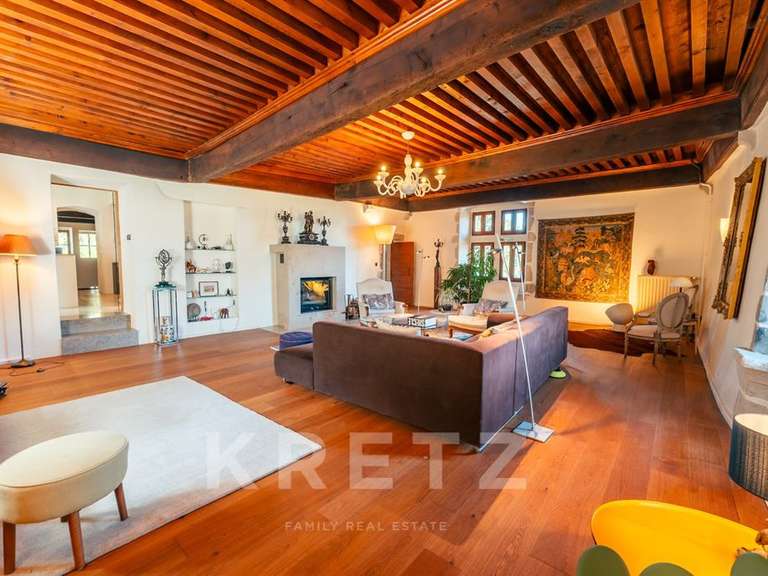 Castle Ruffieux - 3 bedrooms - 379m²