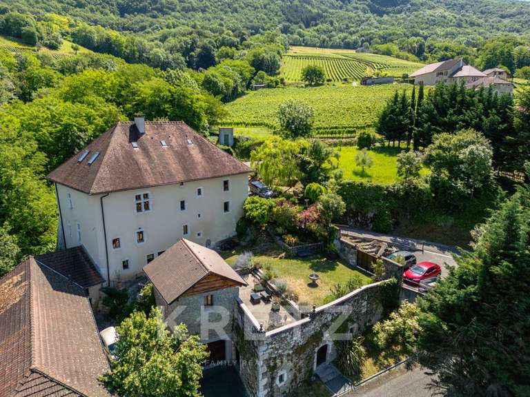 Château Ruffieux - 3 chambres - 379m²