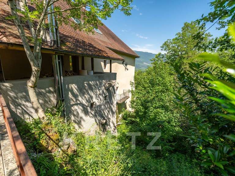 Castle Ruffieux - 3 bedrooms - 379m²