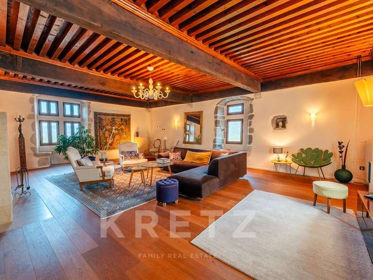 Castle Ruffieux - 3 bedrooms - 379m²