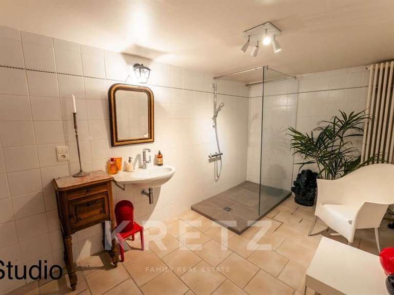 Castle Ruffieux - 3 bedrooms - 379m²