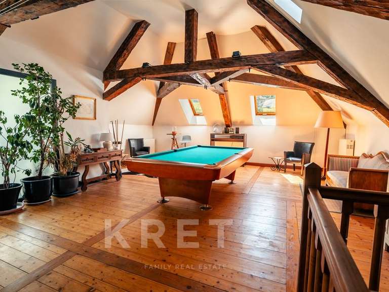 Castle Ruffieux - 3 bedrooms - 379m²
