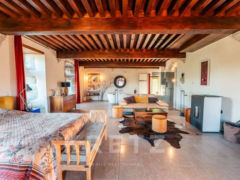 Château Ruffieux - 3 chambres - 379m²