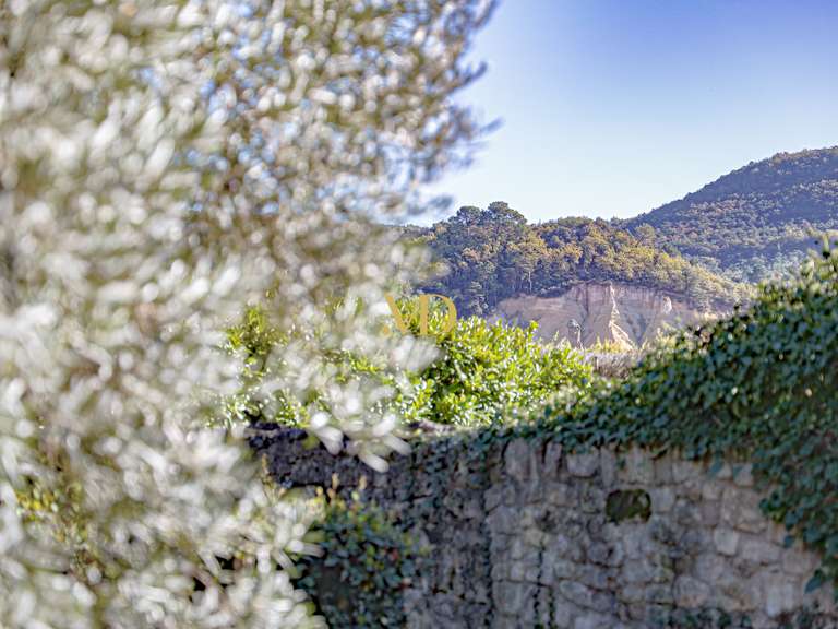 House Rustrel - 5 bedrooms - 406m²