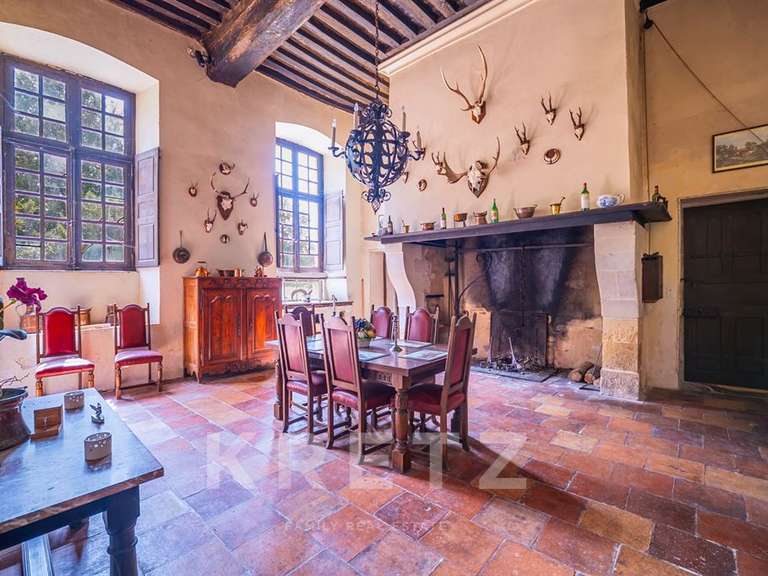 Château Sablé-sur-Sarthe - 9 chambres - 800m²