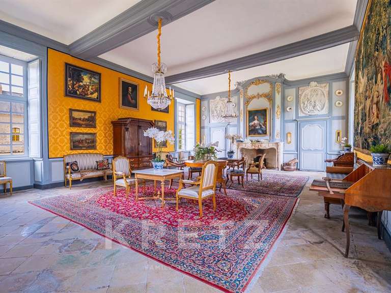 Castle Sablé-sur-Sarthe - 9 bedrooms - 800m²