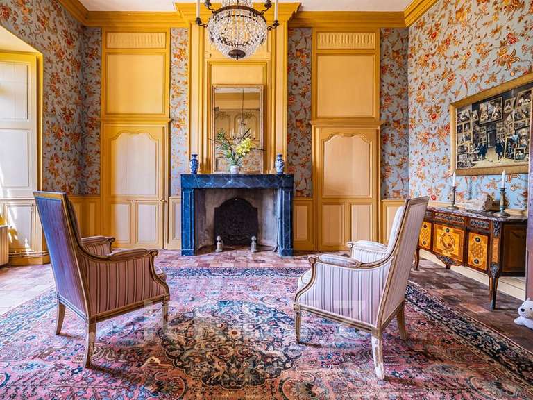 Castle Sablé-sur-Sarthe - 9 bedrooms - 800m²