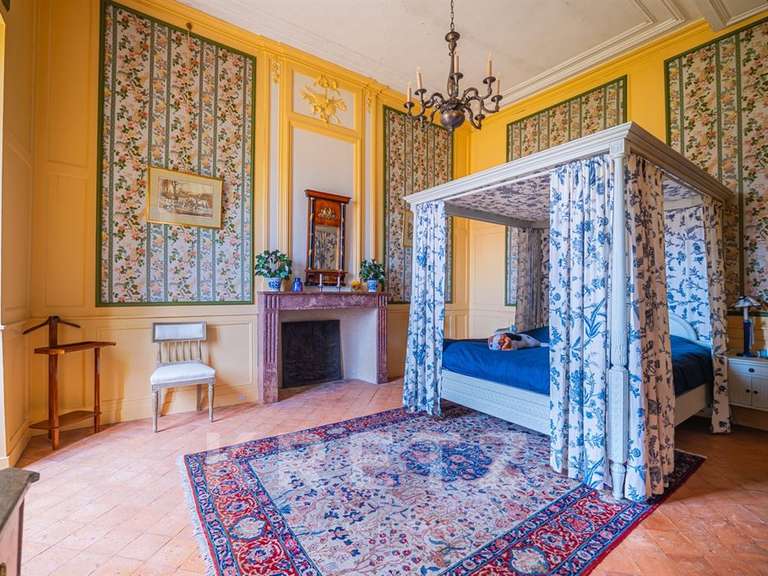 Castle Sablé-sur-Sarthe - 9 bedrooms - 800m²