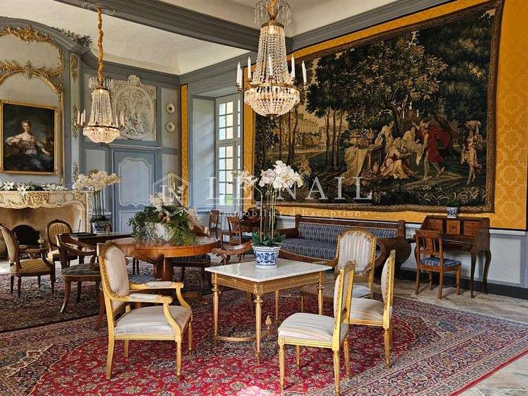 Castle Sablé-sur-Sarthe - 9 bedrooms - 800m²