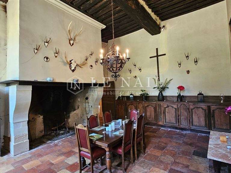 Castle Sablé-sur-Sarthe - 9 bedrooms - 800m²