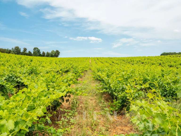 Domaine viticole Sabran - 7 chambres - 361m²