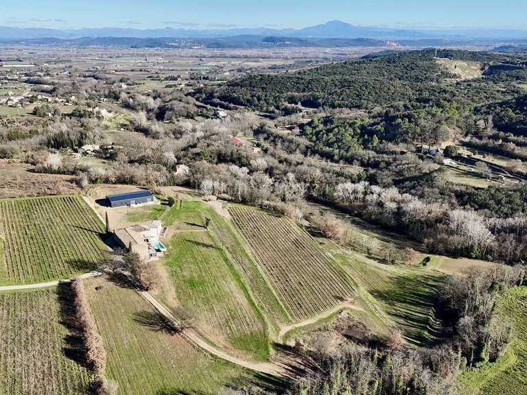 Domaine viticole Saint-Alexandre - 8 chambres - 1430m²