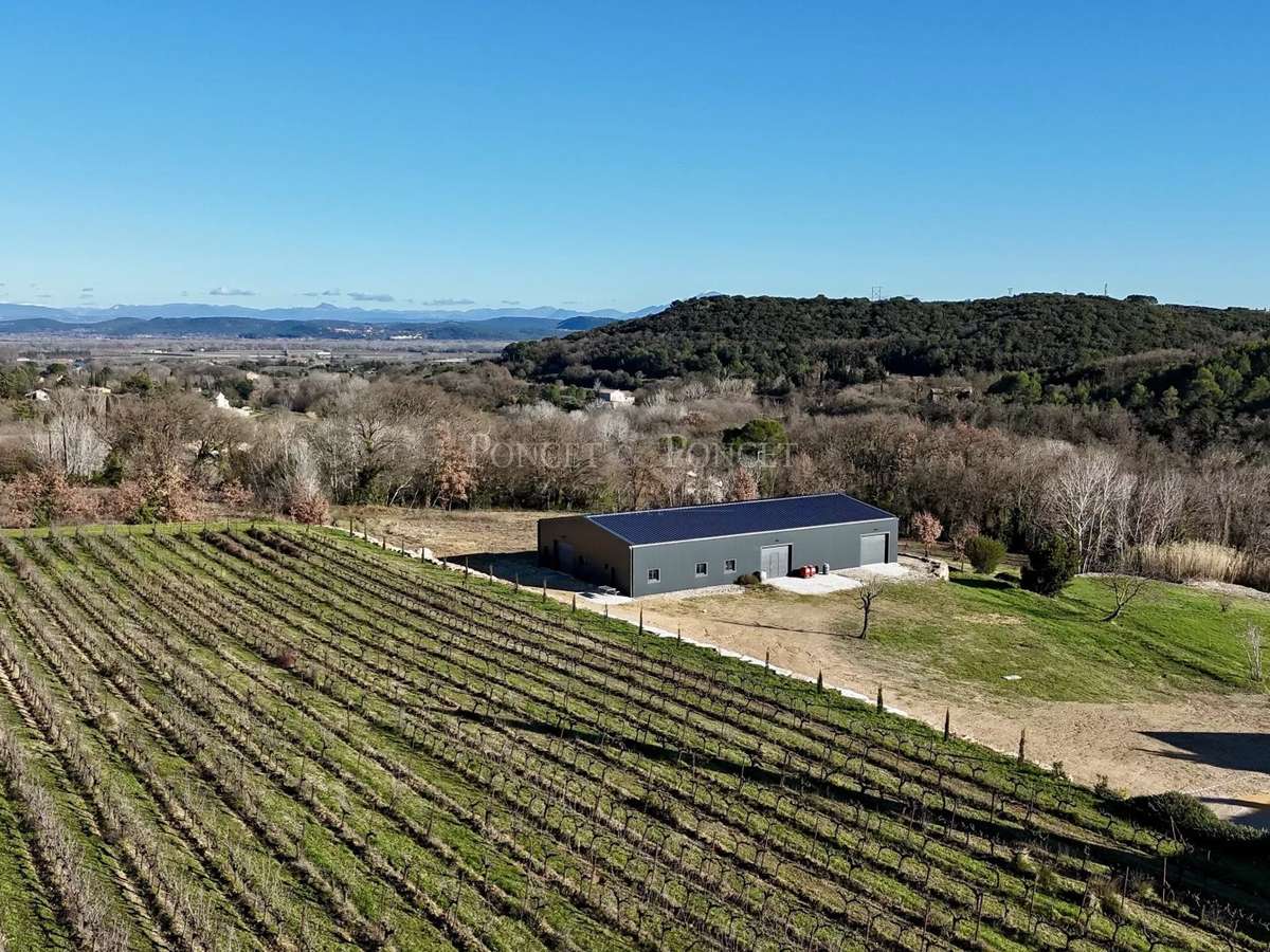 Domaine viticole Saint-Alexandre