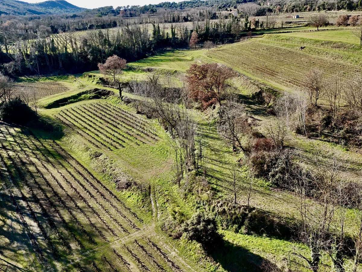 Domaine viticole Saint-Alexandre