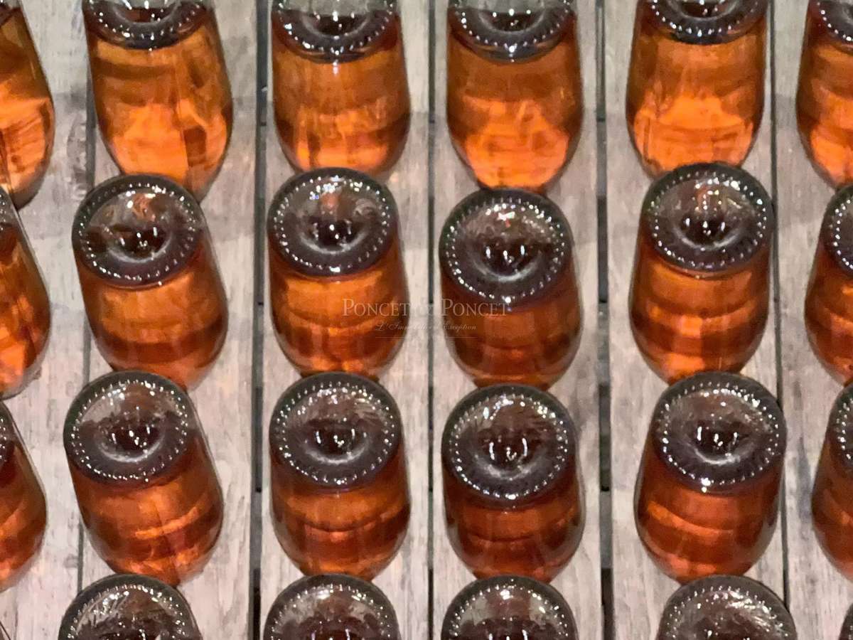 Domaine viticole Saint-Alexandre