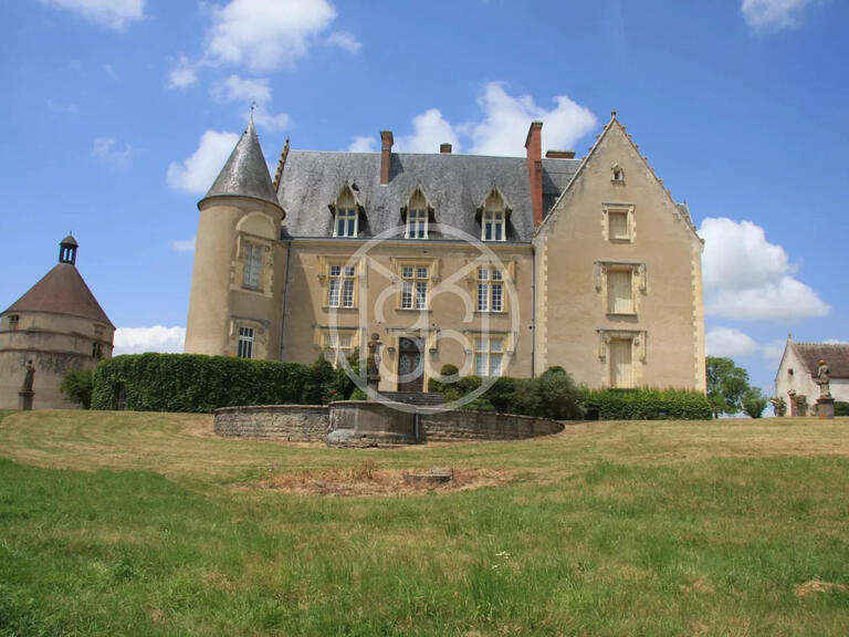Sale Castle Saint-Amand-Montrond - 15 bedrooms