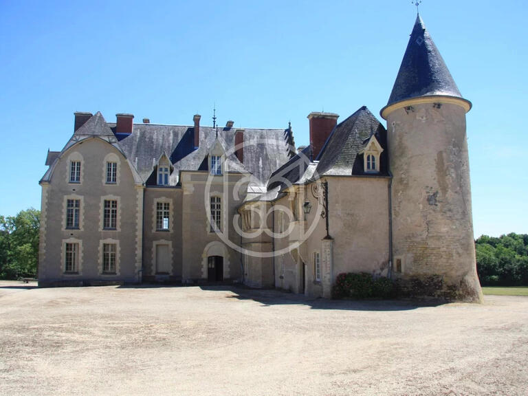 Sale Castle Saint-Amand-Montrond - 15 bedrooms