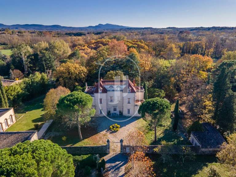 Château Saint-Ambroix - 9 chambres - 370m²