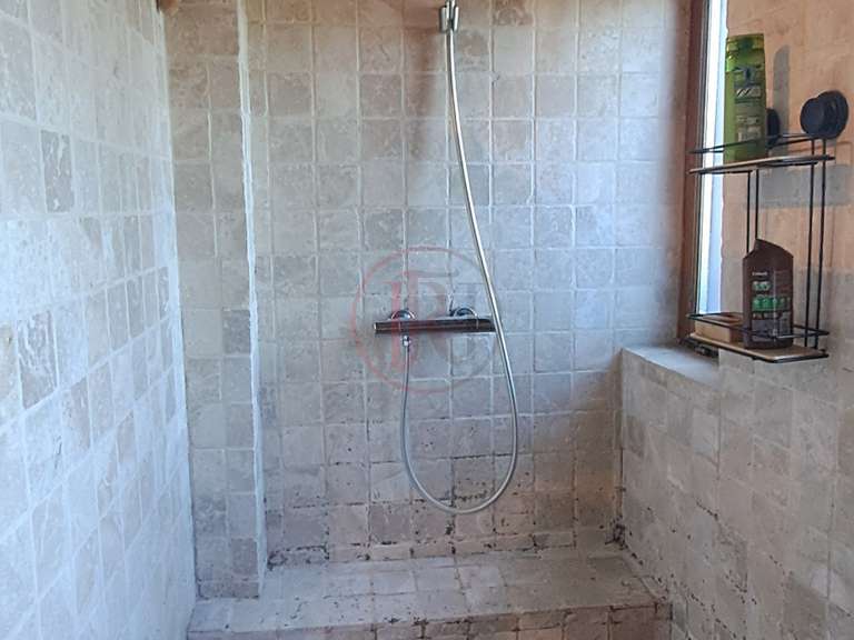 House Saint-Ambroix - 4 bedrooms - 215m²