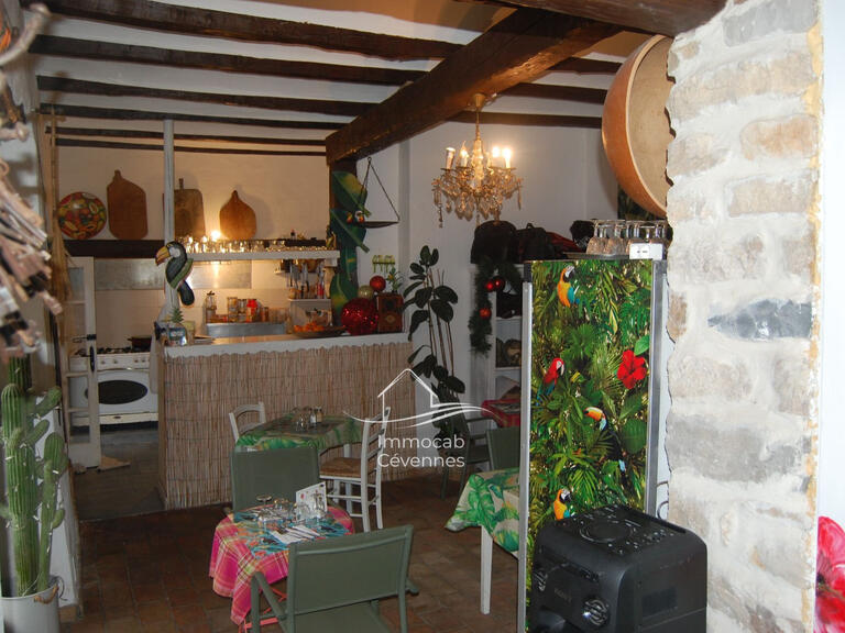 Villa Saint-Ambroix - 4 chambres - 300m²