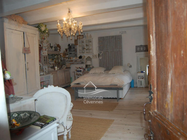 Villa Saint-Ambroix - 4 chambres - 300m²