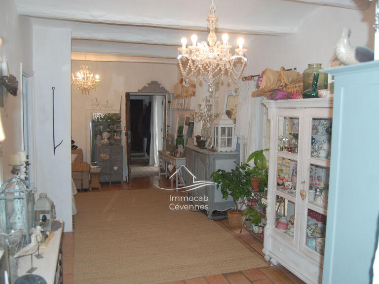 Villa Saint-Ambroix - 4 chambres - 300m²