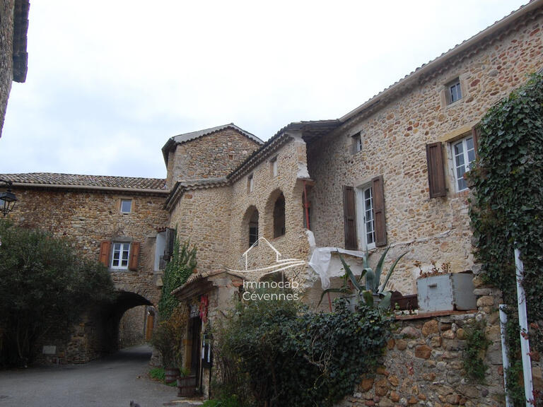 Villa Saint-Ambroix - 4 chambres - 300m²