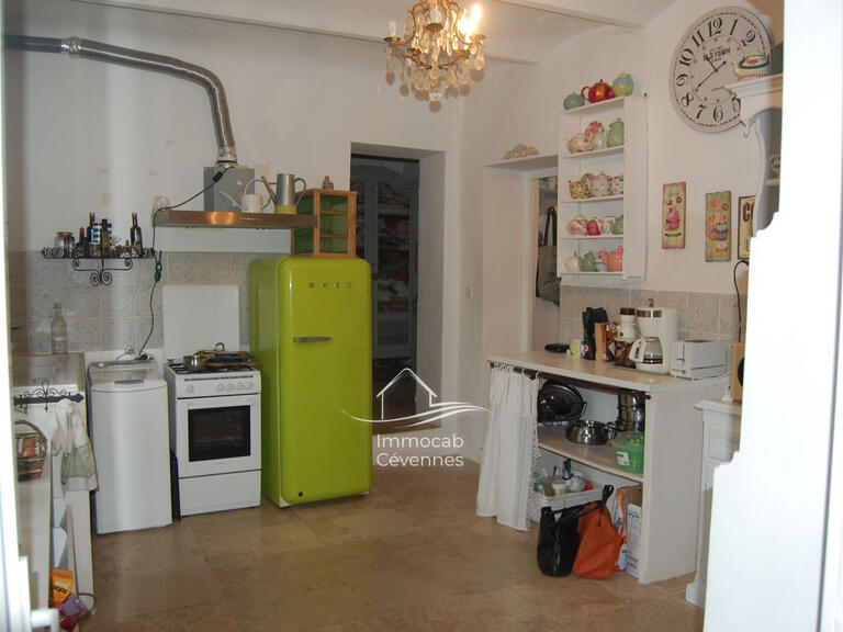 Villa Saint-Ambroix - 4 chambres - 300m²