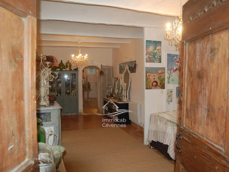 Villa Saint-Ambroix - 4 chambres - 300m²