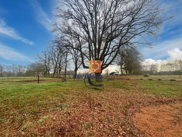 Maison Saint-André-de-Bâgé - 5 chambres - 180m²