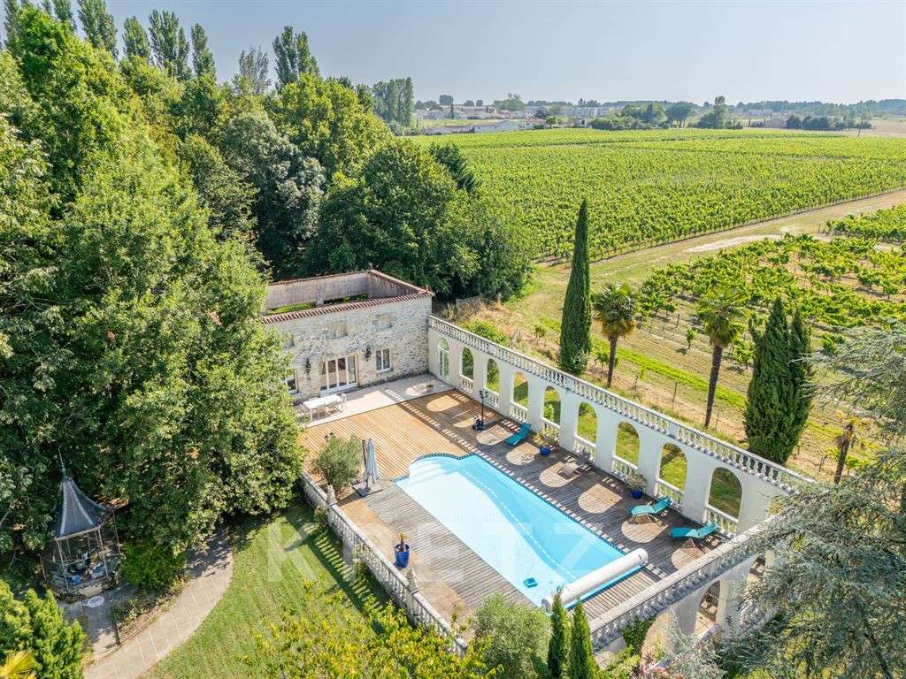 Castle Saint-André-de-Cubzac