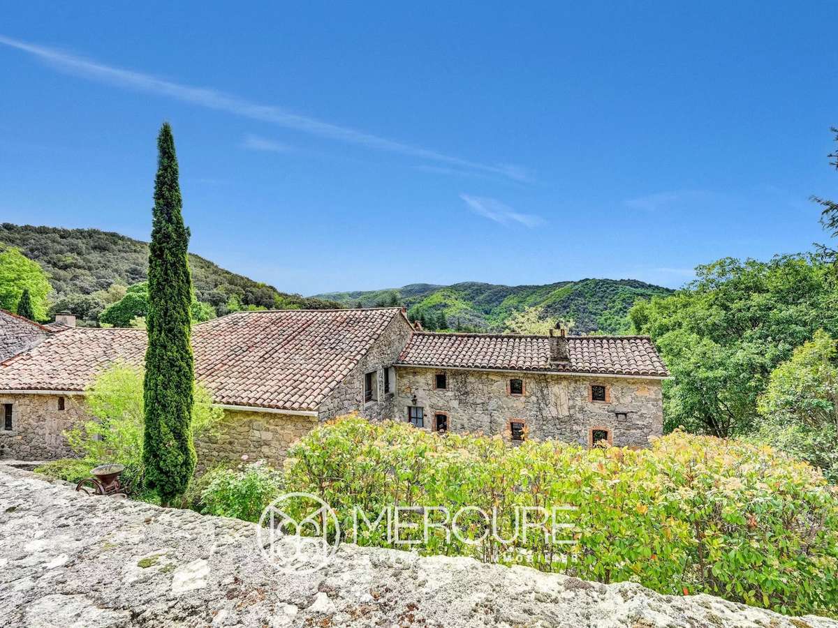 Château Saint-André-de-Majencoules