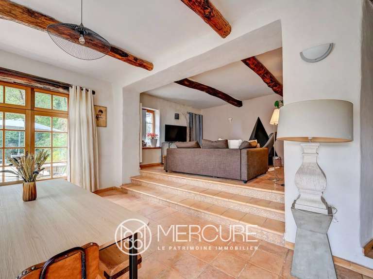 Château Saint-André-de-Majencoules - 29 chambres - 1300m²