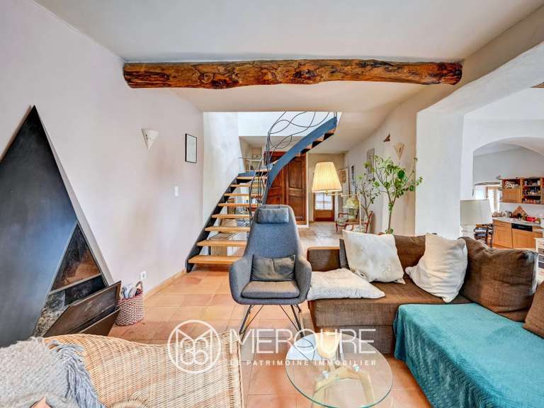 Château Saint-André-de-Majencoules - 29 chambres - 1300m²