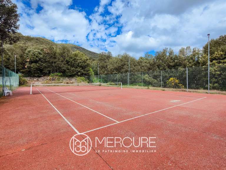 Château Saint-André-de-Majencoules - 29 chambres - 1300m²