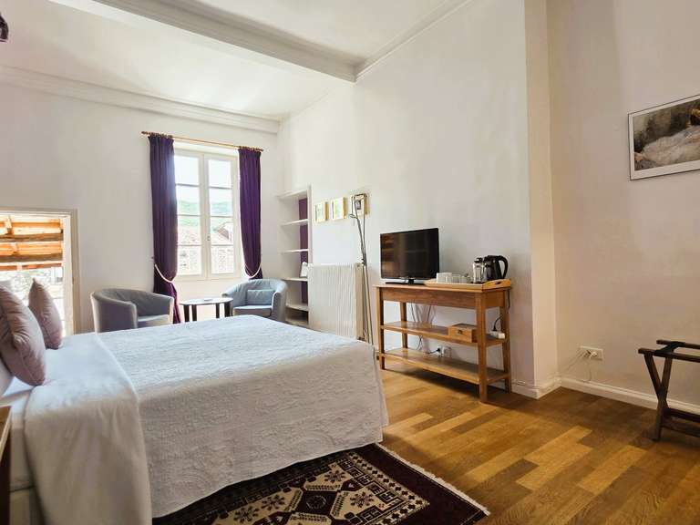 House Saint-Antonin-Noble-Val - 8 bedrooms - 450m²