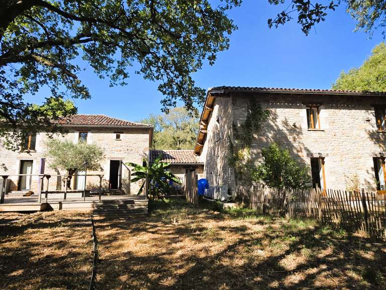 Maison Saint-Antonin-Noble-Val - 6 chambres - 390m²