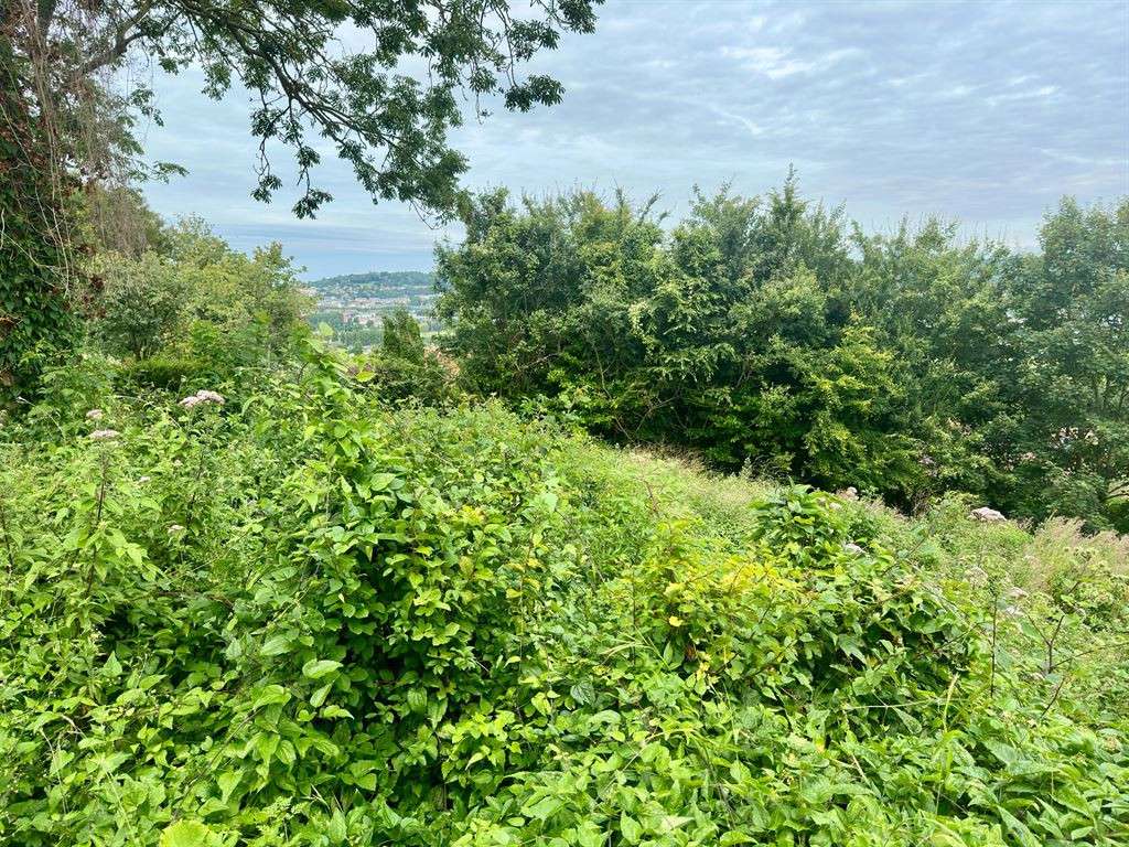 Land Saint-Arnoult
