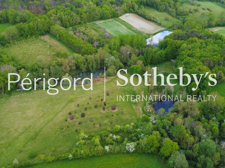 Maison Saint-Astier - 11 chambres - 650m²