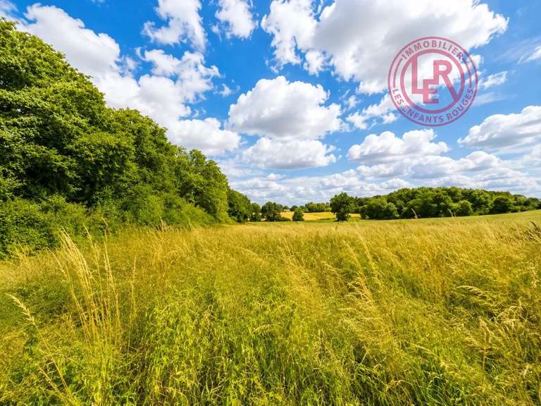 Maison Saint-Aubin-de-Courteraie - 5 chambres - 245m²