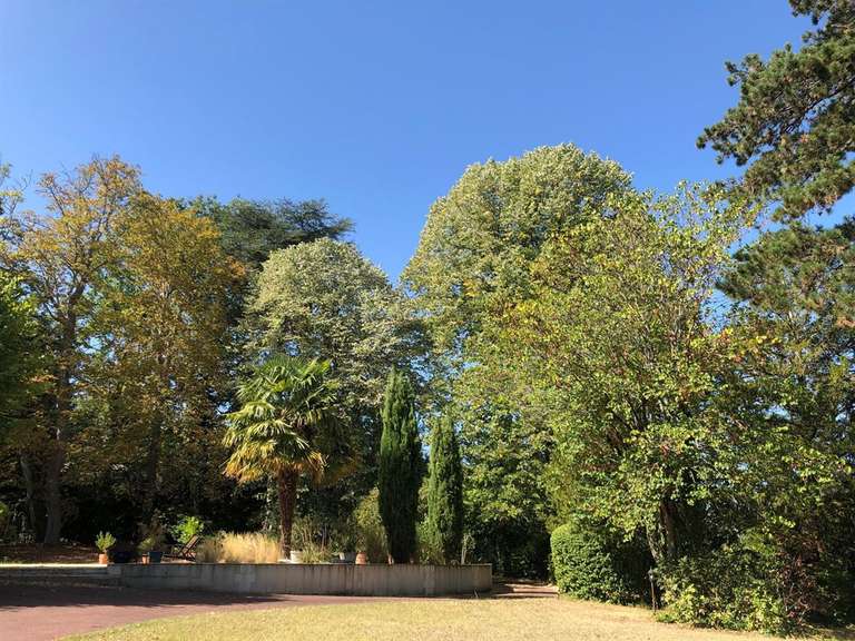 Maison Saint-Avertin - 5 chambres - 260m²