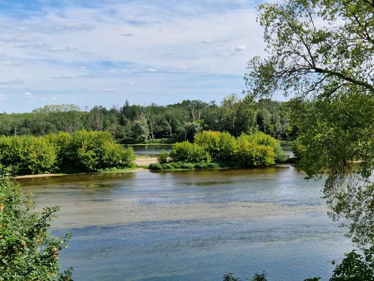 Terrain Saint-Ay - 6551m²