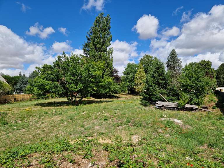 Terrain Saint-Ay - 6551m²