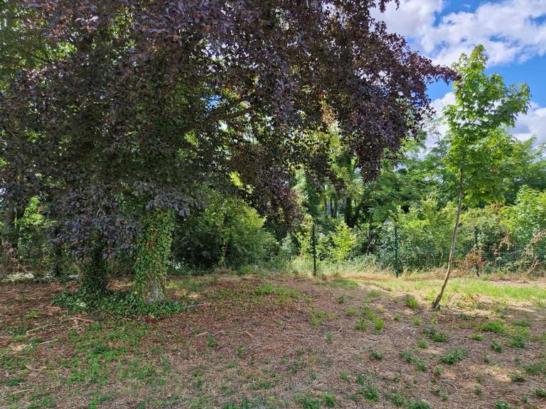 Terrain Saint-Ay - 6551m²