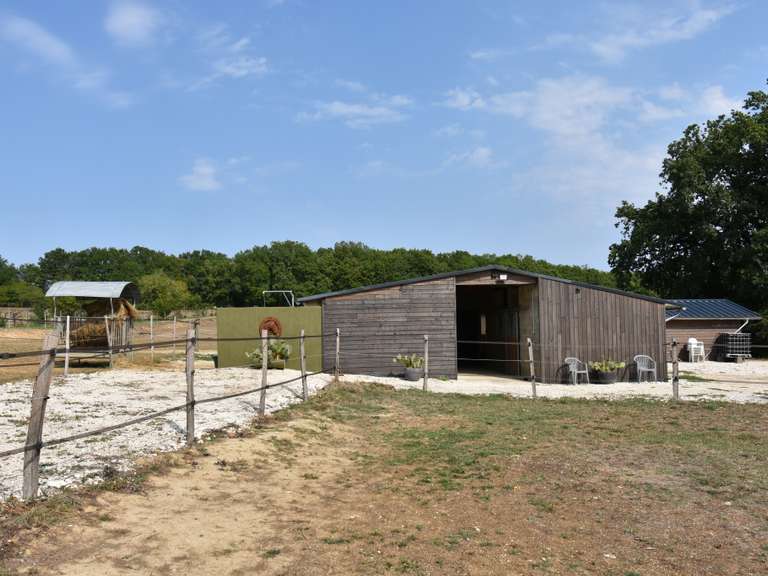 Maison Saint-Beauzeil - 5 chambres - 223m²