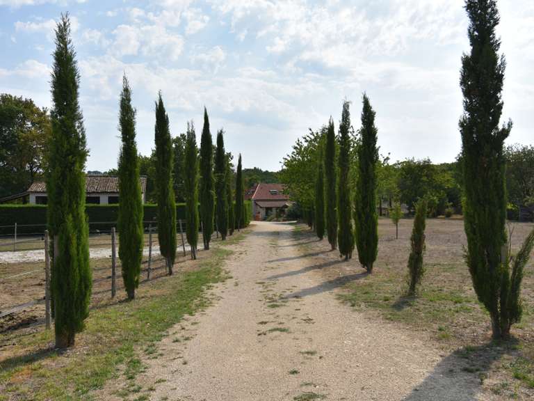 Maison Saint-Beauzeil - 5 chambres - 223m²