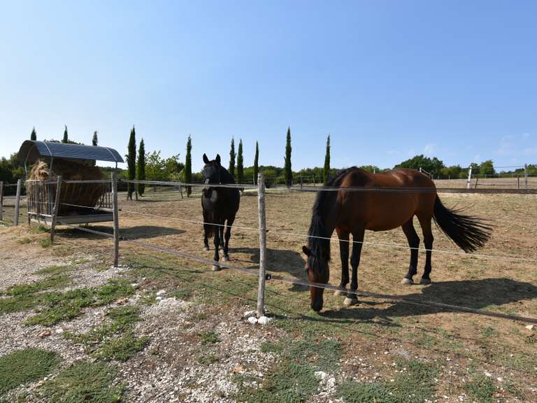Maison Saint-Beauzeil - 5 chambres - 223m²