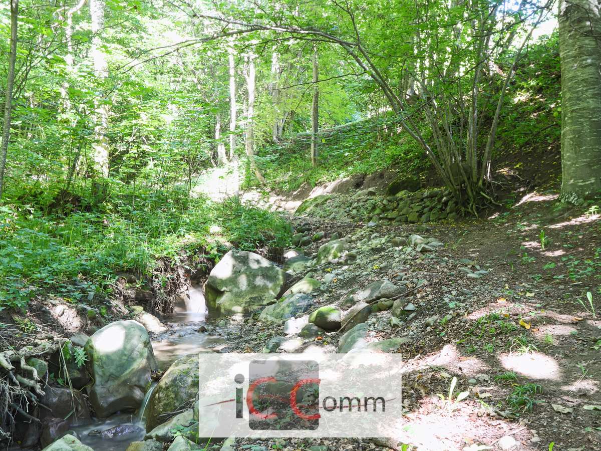 Propriété Saint-Bonnet-en-Champsaur