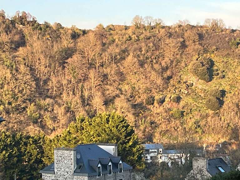 Maison Saint-Brieuc - 3 chambres